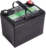 Interstate Batteries 12V 35Ah Deep Cycle Battery (DCM0035) Sealed Lead Acid SLA AGM Rechargeable...