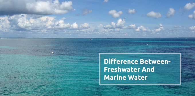 Difference Between Freshwater And Marine Water