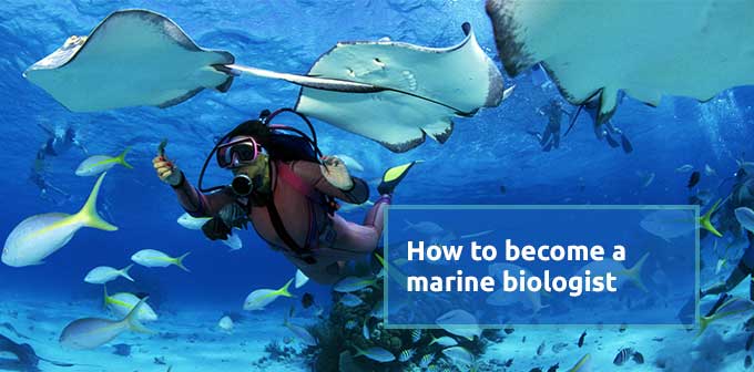 Expert’s Tips on How to Become a Marine Biologist