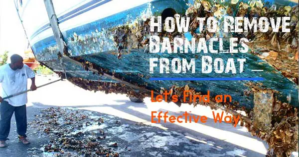 How to Remove Barnacles from Boat – Let’s Find an Effective Way