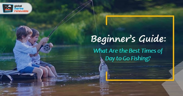 What are the Best Time of Day to Go Fishing? Beginner’s Guide