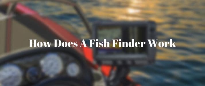 how does fish finder works