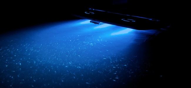 types of underwater boat lights