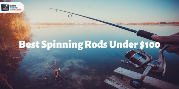 Best Spinning Rods Under 100
