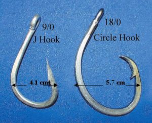 J hook by a circle hook