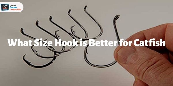 hook size for catfish