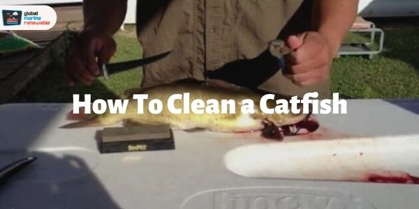 How to Clean Catfish in 15 Seconds