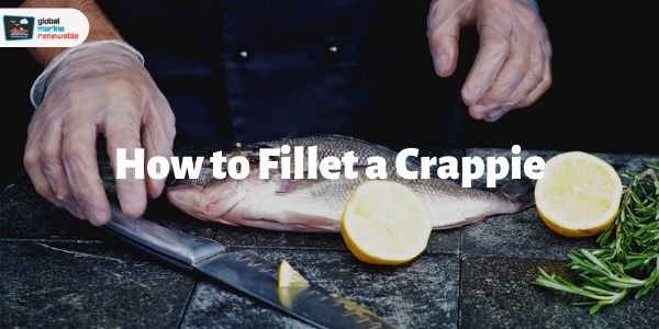 how to fillet a crappie