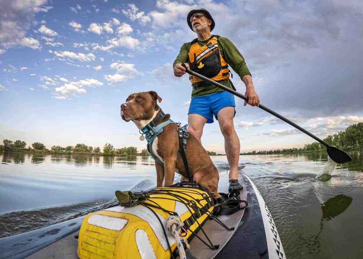 Best Dry Bags for Kayaking