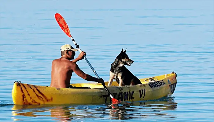 How to Kayak with Dogs