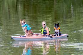 How to Kayak with Dogs