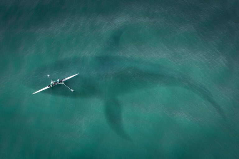 Is it Safe to Kayak in the Rain?