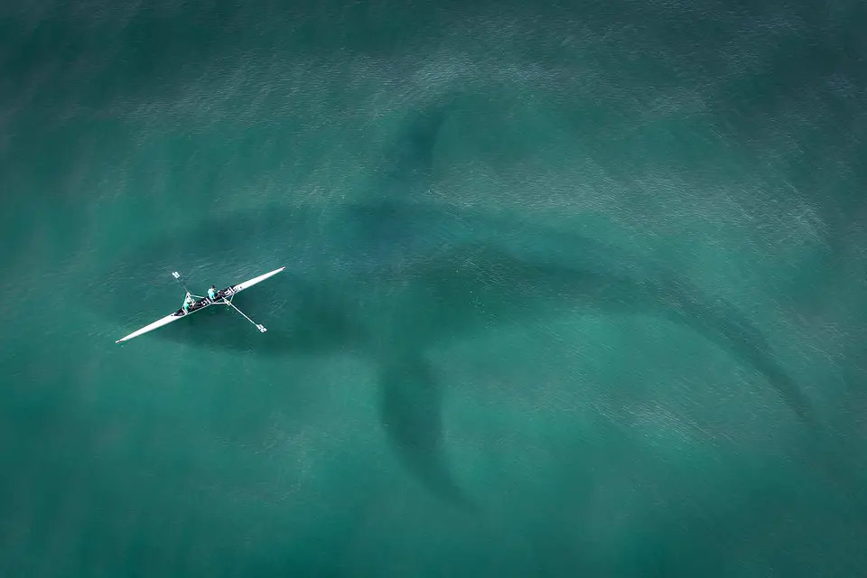 Is it Safe to Kayak in the Rain?