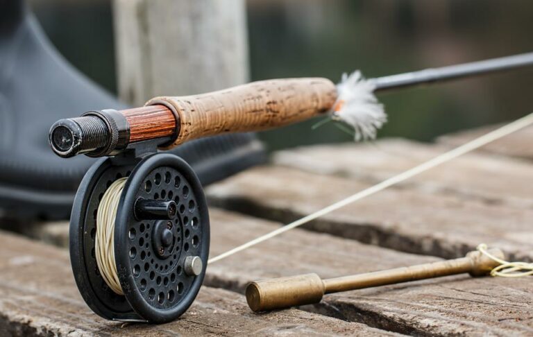 Best Shimano Reels For Float Fishing