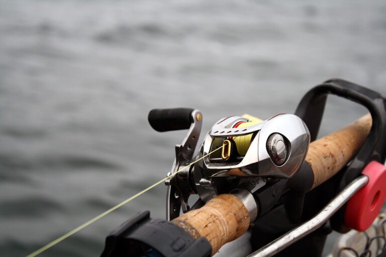 Best Fishing Rod Holder for Bike