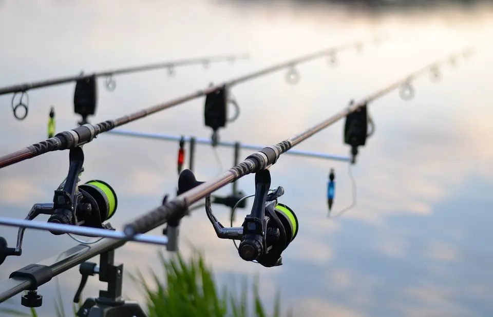 what-do-the-letters-on-shimano-reels-mean-globalmarinerenewable