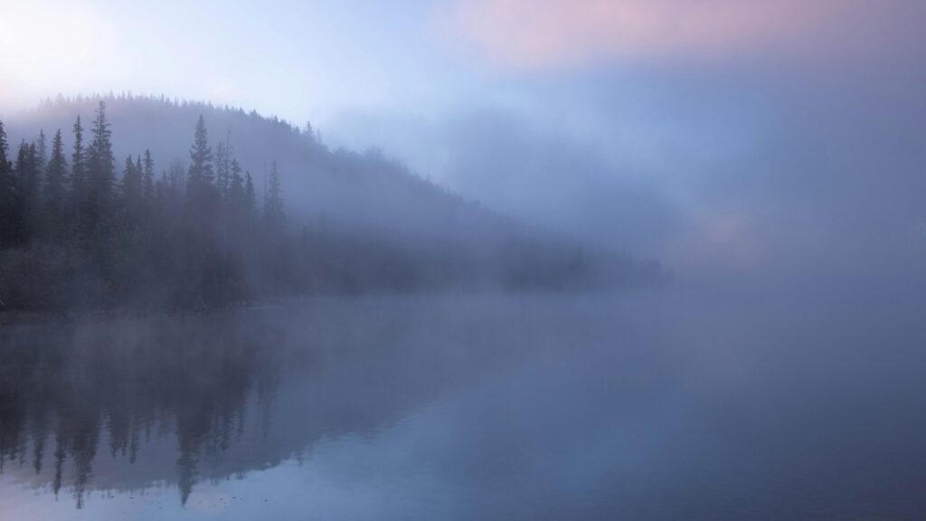 Fog over a calm lake at dawn with dark pines on the shore