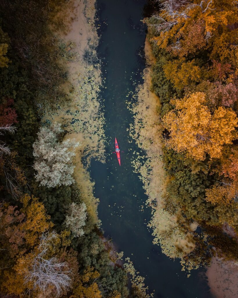 Aerial view of a red kayak in a narrow creek lined with fall trees and weeds